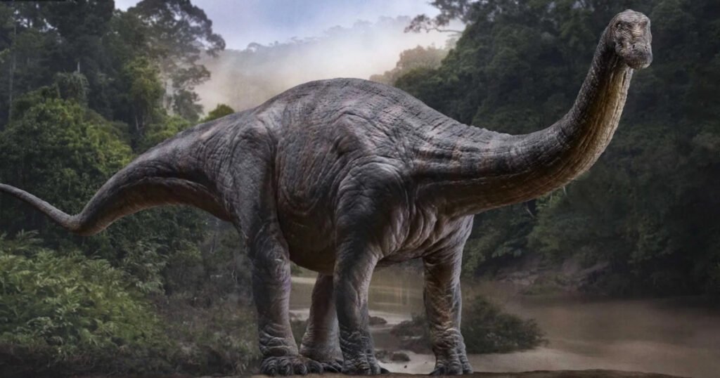 Apatosaurus size