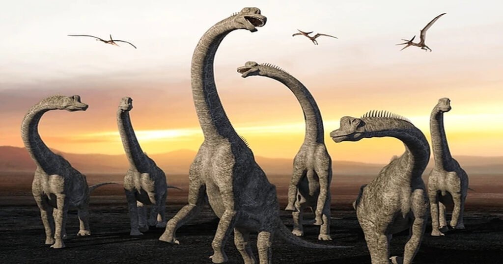 Dreadnoughtus size