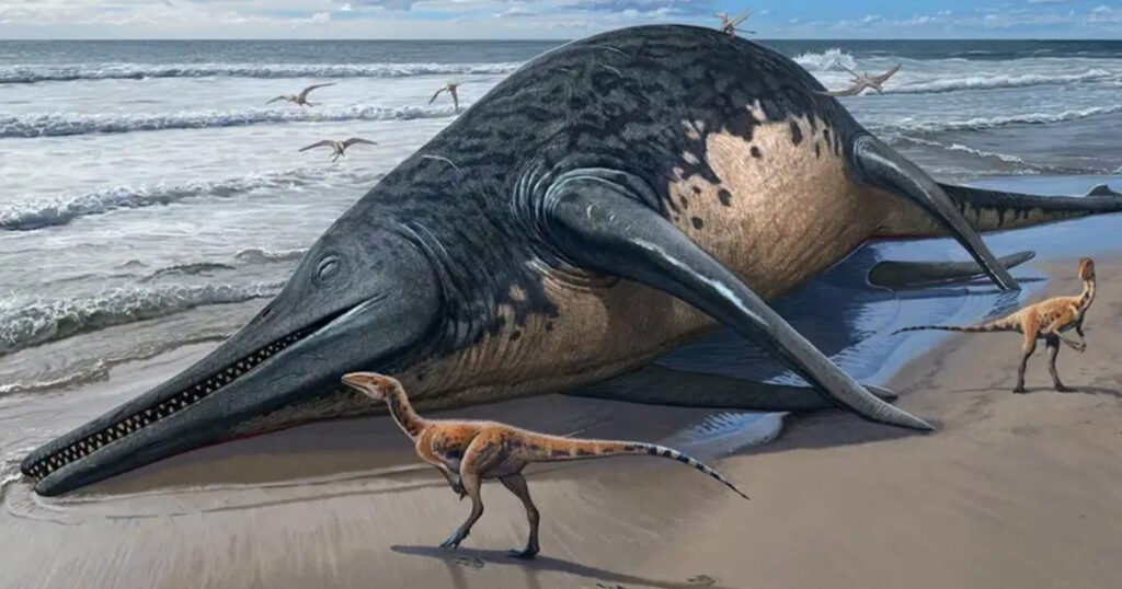 Ichthyotitan Severnensis size