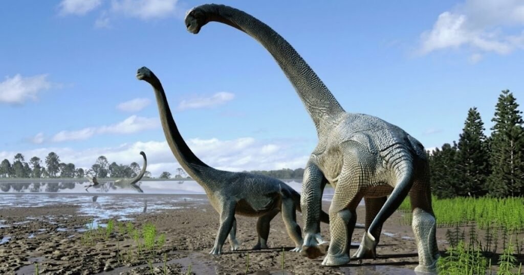 Titanosaur size